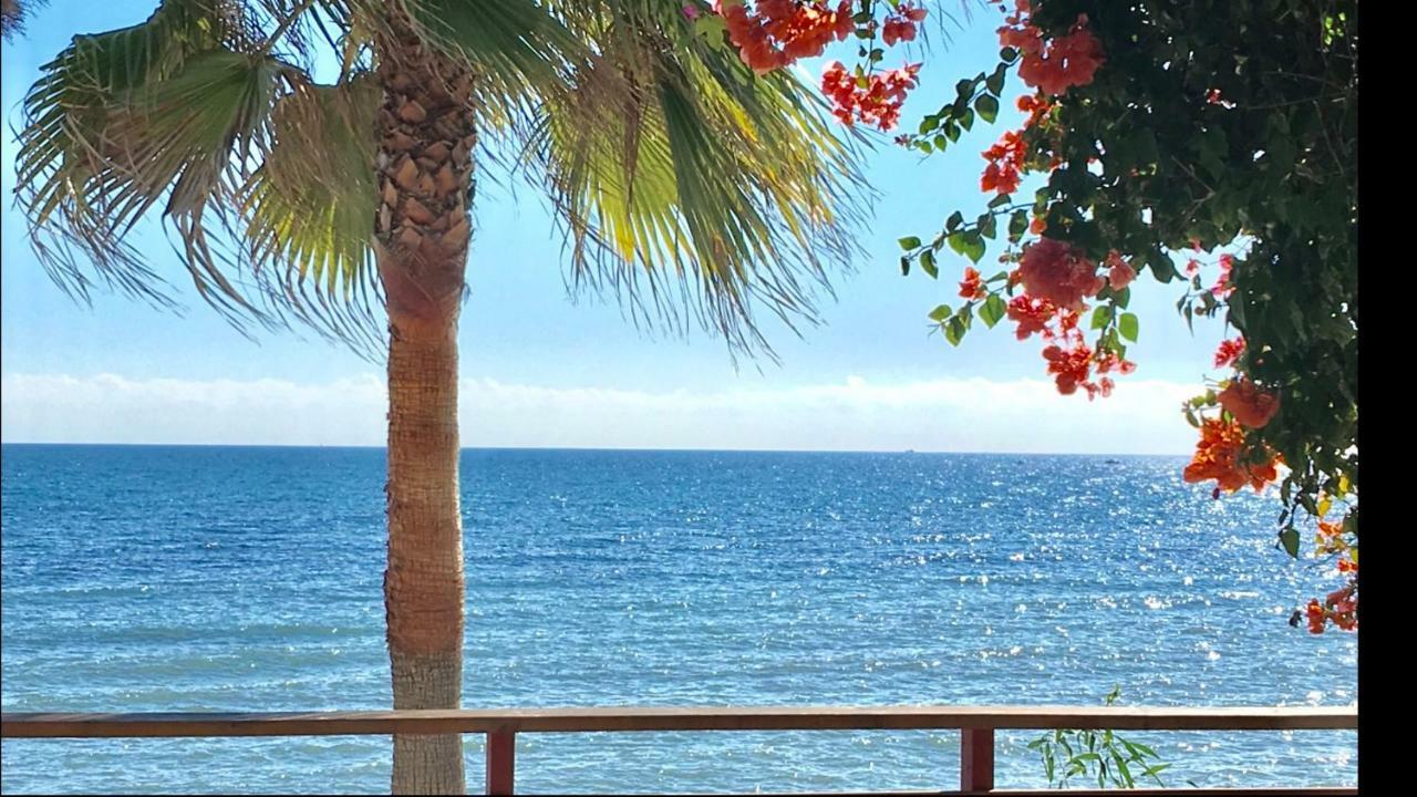 Mi Capricho 9A Beachfront- Apartment With Sea View - Costa Del Sol Sitio de Calahonda Eksteriør bilde